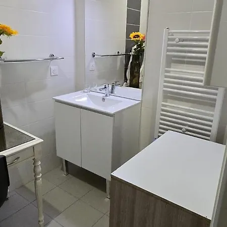 Apartment T2 42 M2 Private Parking Le Cannet