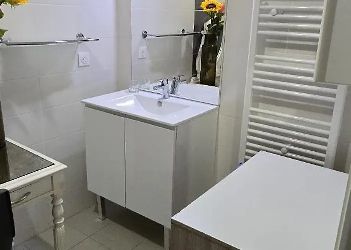 Daire T2 42 M2 Private Parking Le Cannet